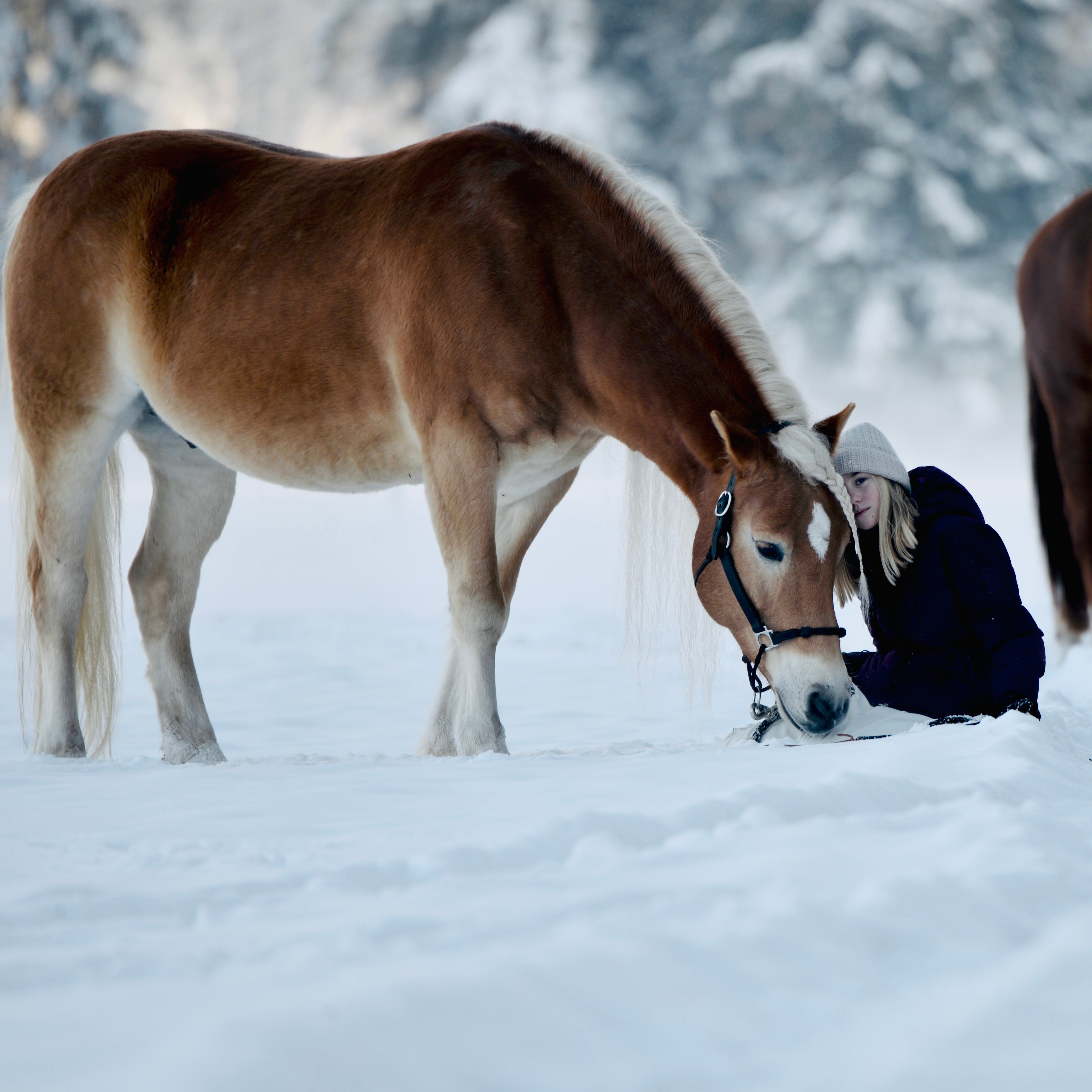 Kids Skijacke | Ski jacket „Snow & Rain“