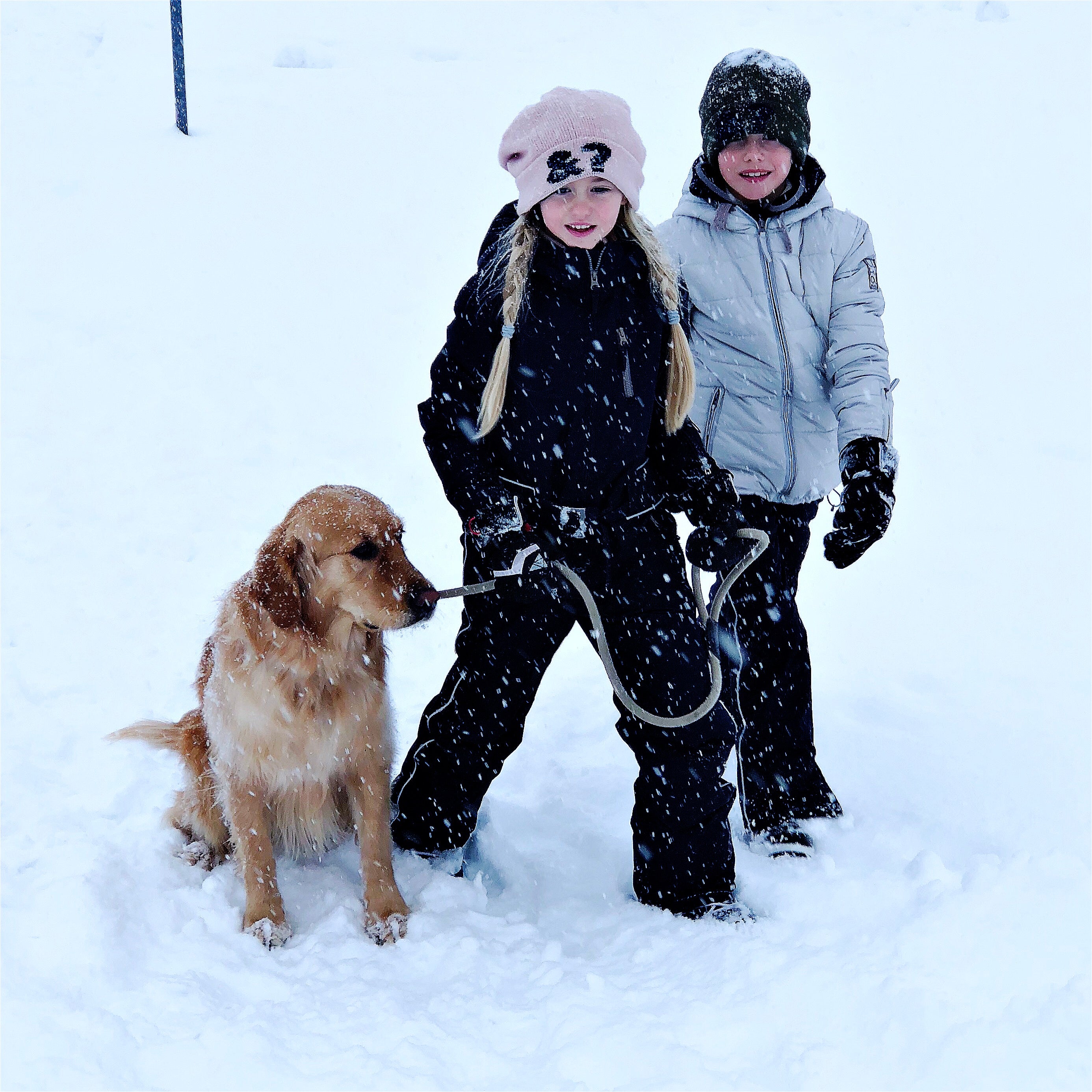 Schneeanzug „Allover II“ Frostgrey-Grenadine