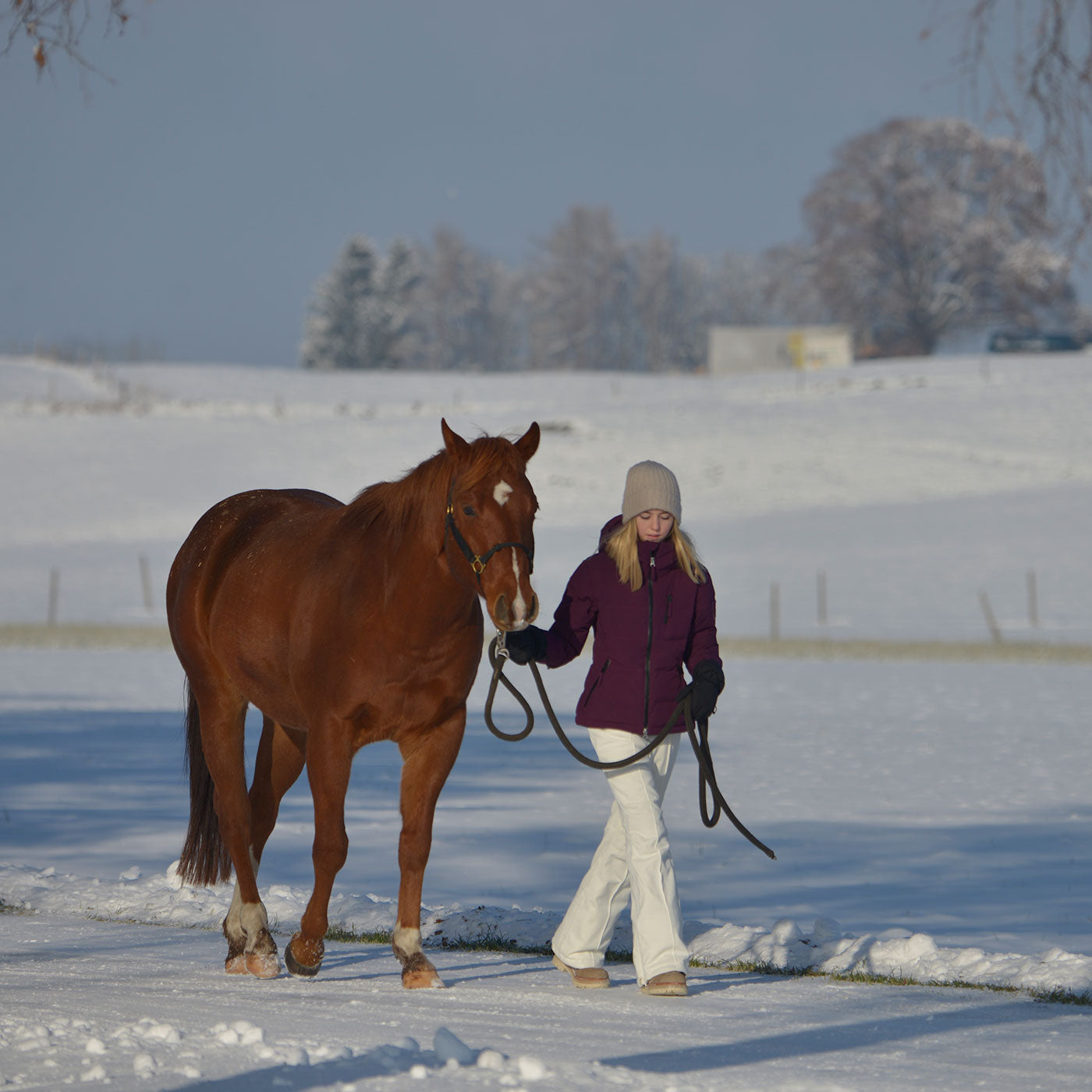 Jethose | Jetpant „Jet“