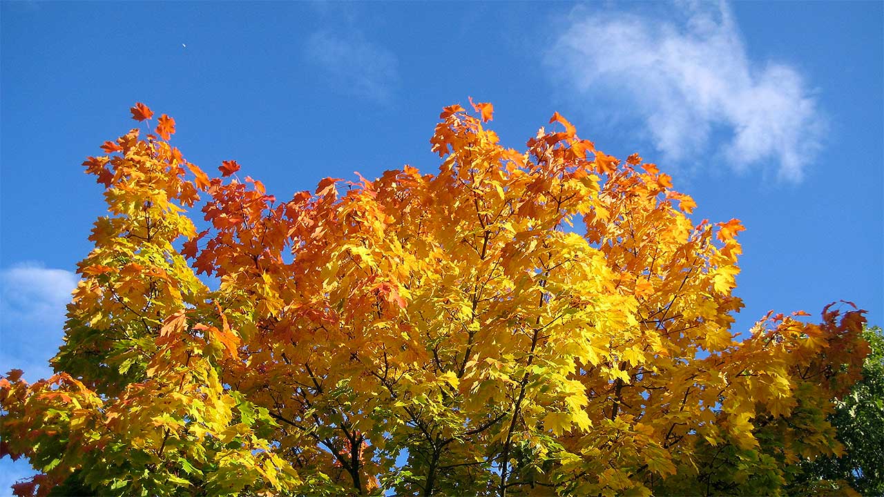 Spürt Ihr den Herbst auch schon?